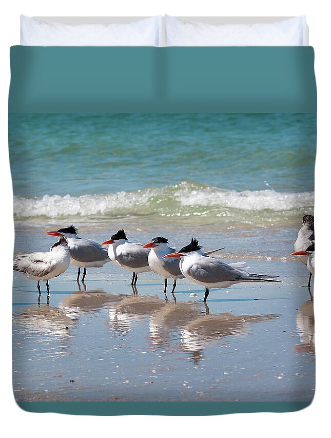 Florida Duvet Cover featuring the photograph Naples Gulf Shorebirds - Royal Terns Highness by Ronald Reid