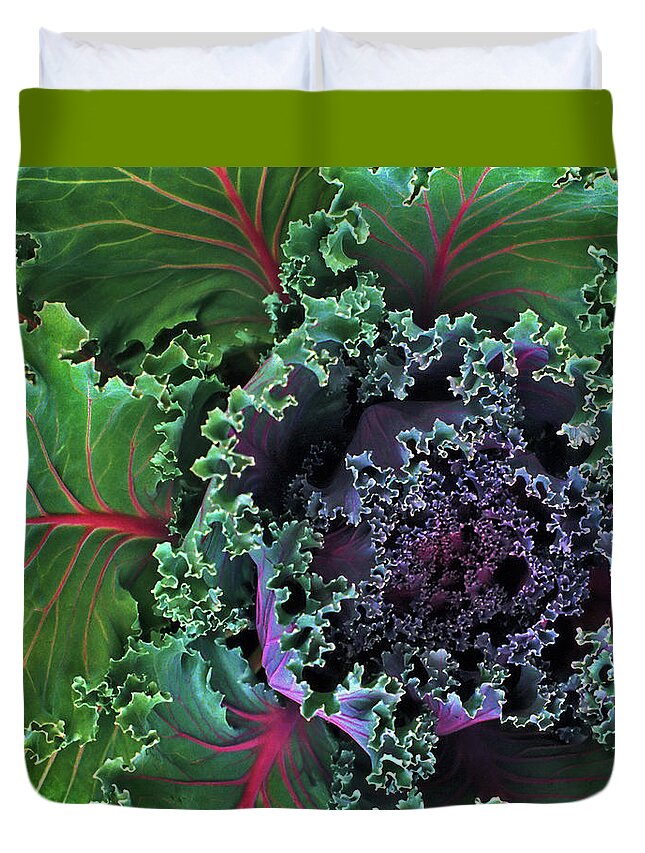 Kale Duvet Cover featuring the photograph Naples Kale by Lynda Lehmann