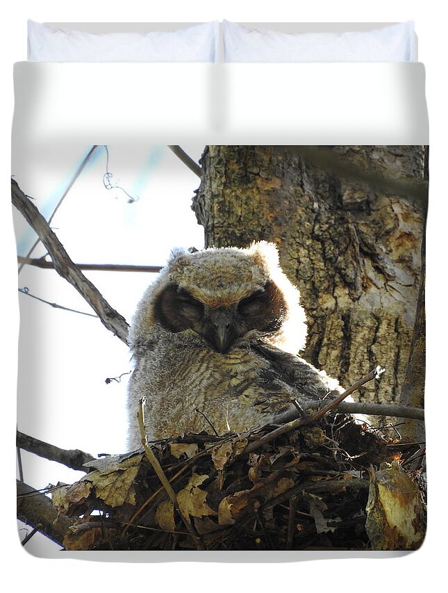 Great Horned Owl Duvet Cover featuring the photograph Napping Owl by Betty-Anne McDonald