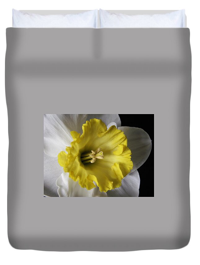Flowers Duvet Cover featuring the photograph Narcissus Three by Nancy Griswold