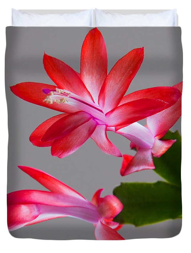 Macro Floral Duvet Cover featuring the photograph Natural Beauty by E Faithe Lester