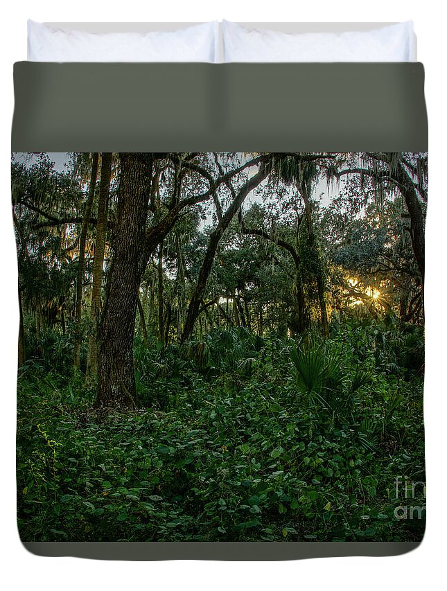 Vine Duvet Cover featuring the photograph Natural Florida Wilderness by Brian Kamprath