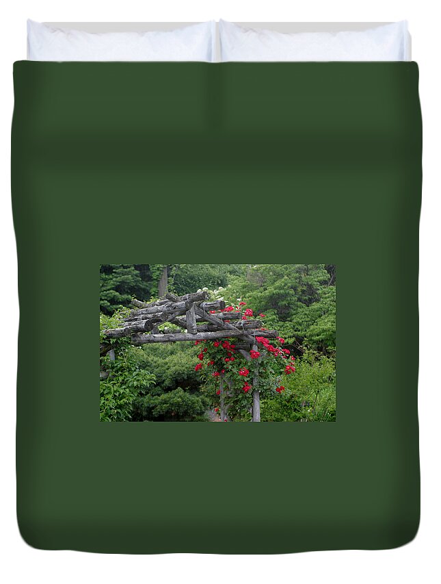 Roses Duvet Cover featuring the photograph Natural Rose Arbor by Living Color Photography Lorraine Lynch