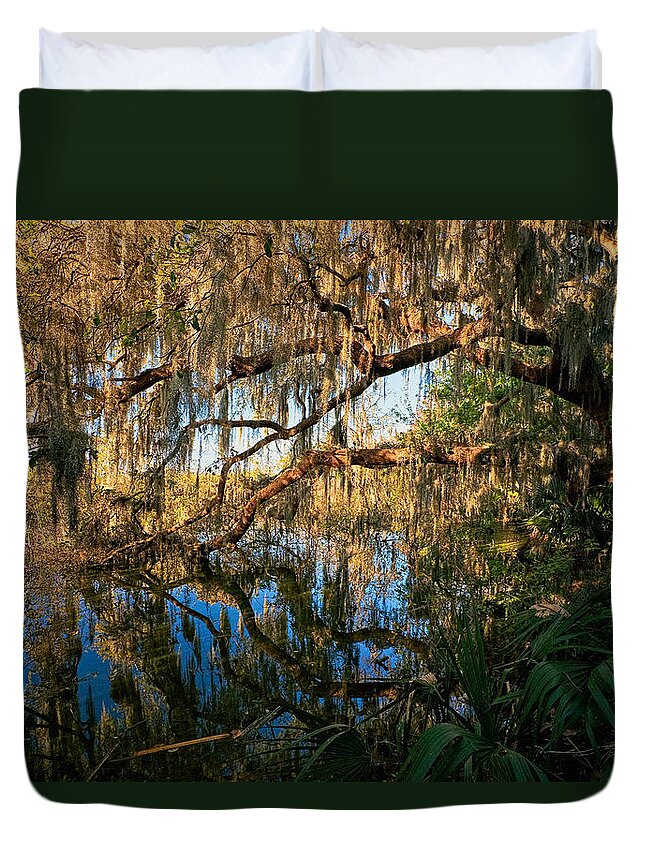 Landscape Duvet Cover featuring the photograph Naturally Florida by Christopher Holmes