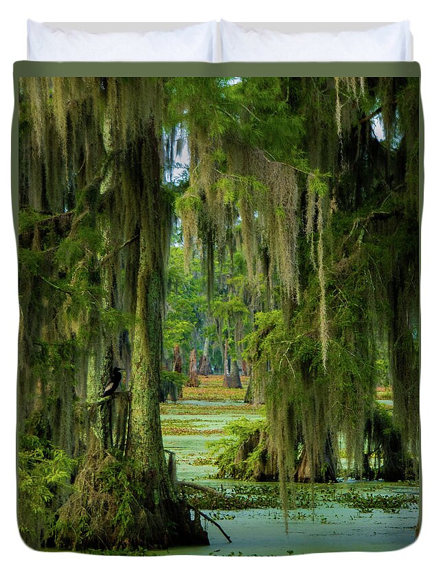 Orcinus Fotograffy Duvet Cover featuring the photograph Swamp Curtains In June by Kimo Fernandez