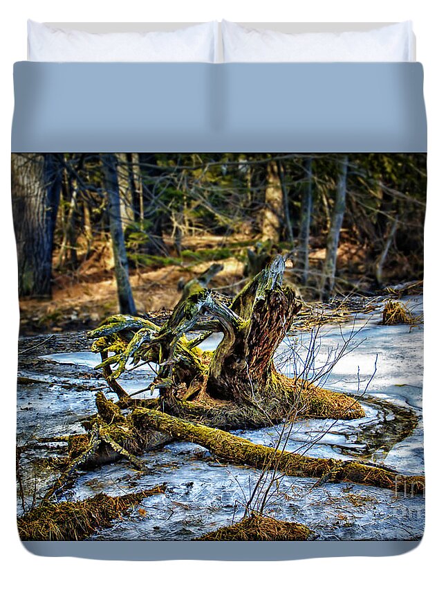 Stump Duvet Cover featuring the photograph Nature Crossover by Catherine Melvin