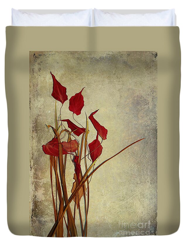 still Life�photography Duvet Cover featuring the photograph Nature Morte Du Moment by Aimelle Ml