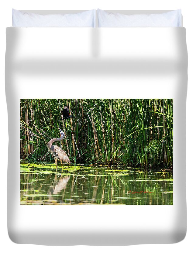 Great Blue Heron Duvet Cover featuring the photograph Nature Protection by Ed Peterson