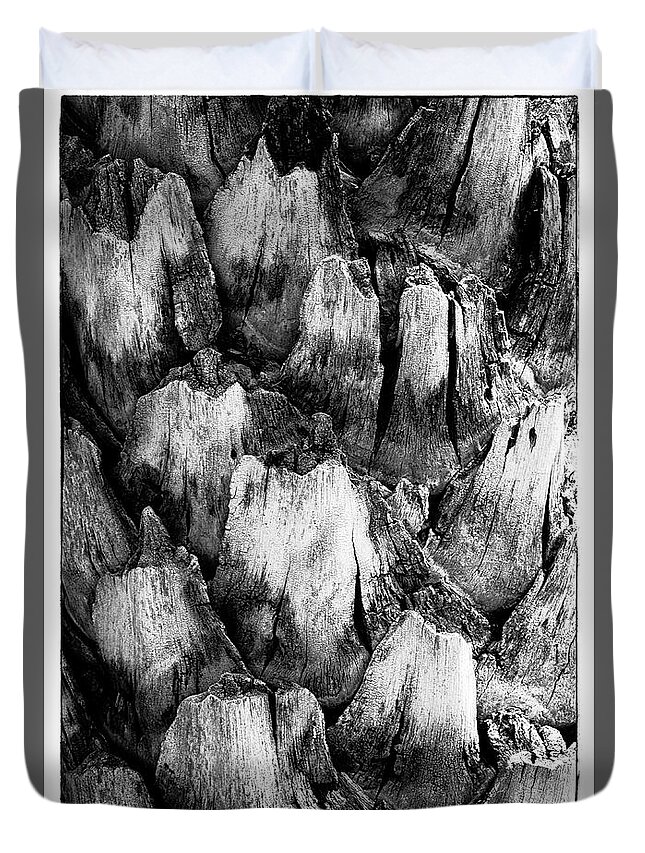 Black And White Duvet Cover featuring the photograph Natures Abstract #1 by John Roach