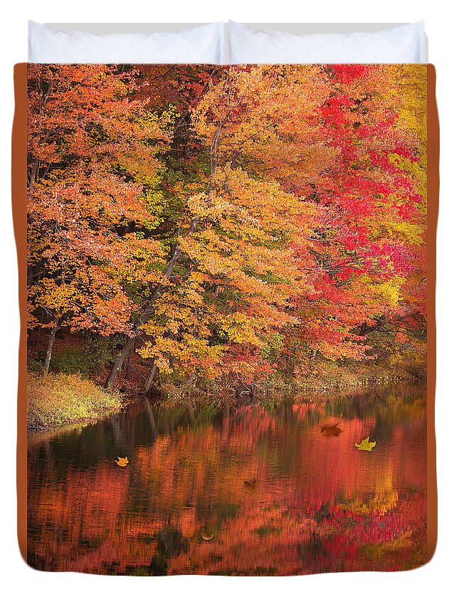 2015 Duvet Cover featuring the photograph Natures Peace by Brenda Giasson