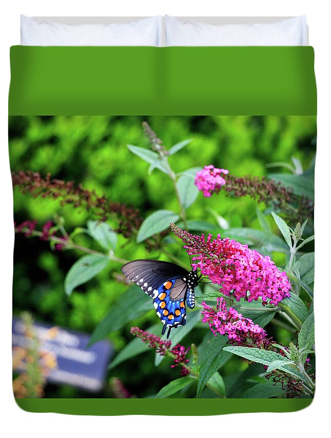 Butterfly Duvet Cover featuring the photograph NC Arboretum Butterflies 1 by Matt Sexton