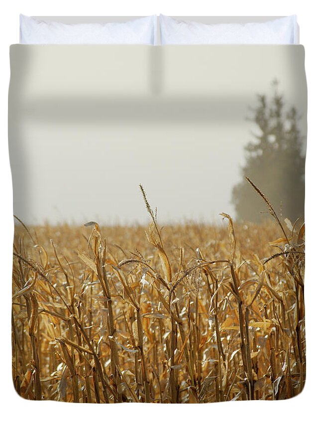 Pines Duvet Cover featuring the photograph Neighborhood Pines by Troy Stapek