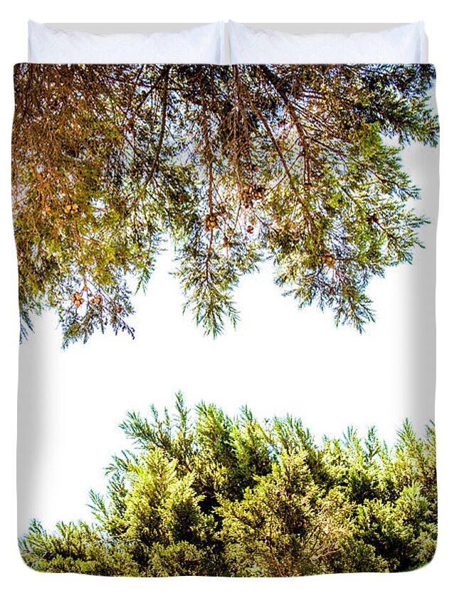 Trees Duvet Cover featuring the photograph Neighbors by Az Jackson