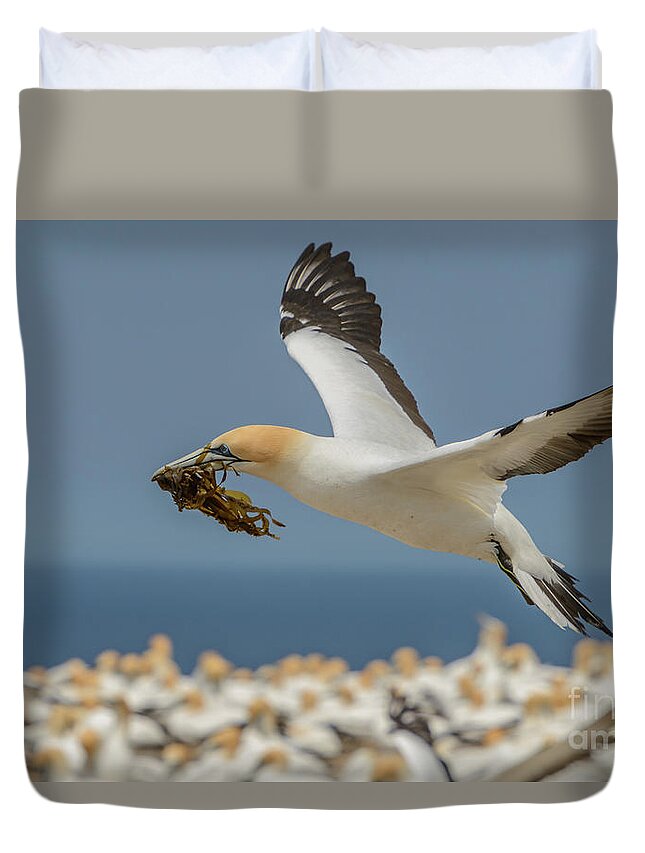 Bird Duvet Cover featuring the photograph Nest Building by Werner Padarin