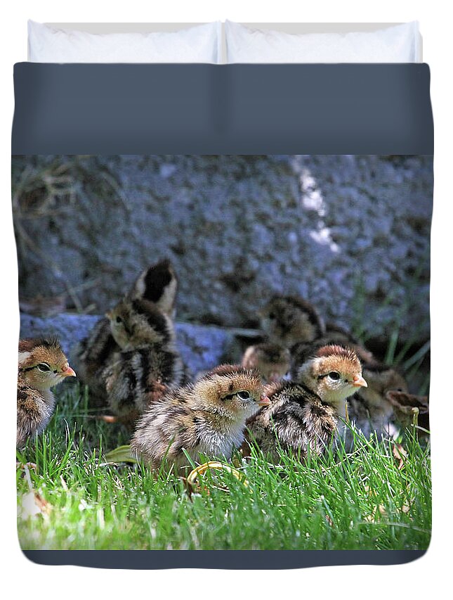 Quail Duvet Cover featuring the photograph Nevada Chicks by Donna Kennedy