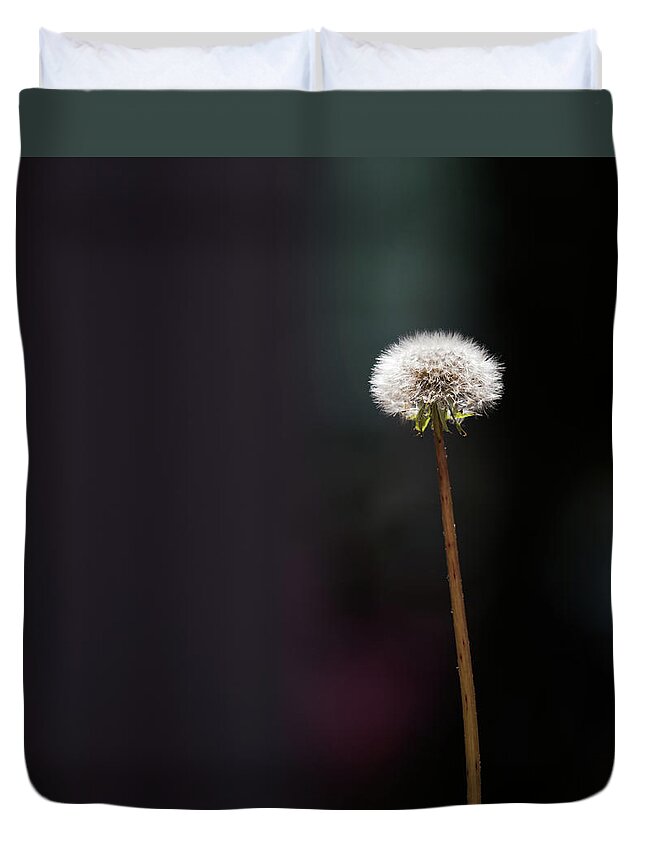 Dandelion Duvet Cover featuring the photograph Never Stop Wishing by Cynthia Wolfe