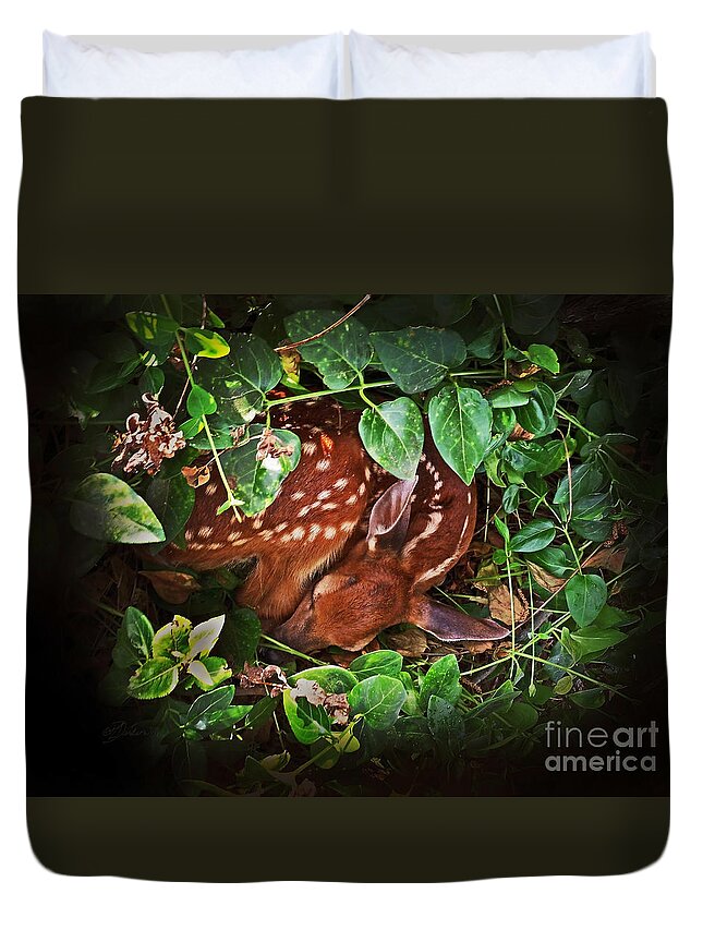 Fawn Duvet Cover featuring the photograph New Beginnings by Pat Davidson