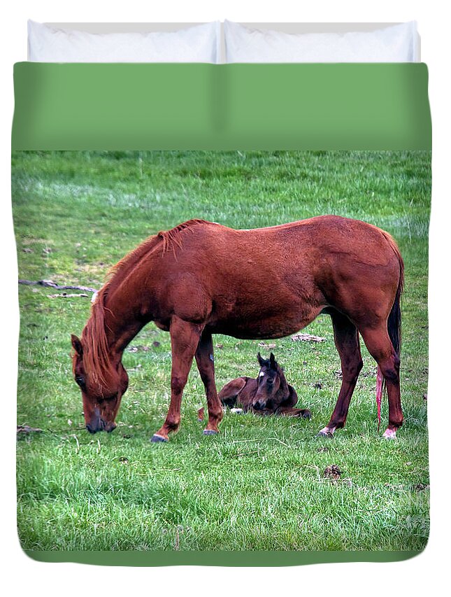 Nature Duvet Cover featuring the photograph New Colt by Robert Bales