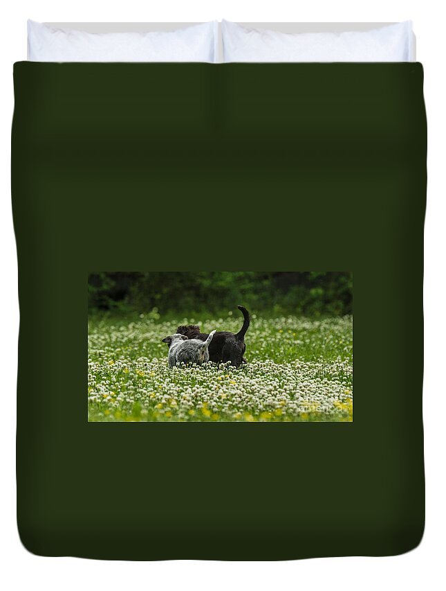 Puppies Duvet Cover featuring the photograph New friends by Metaphor Photo