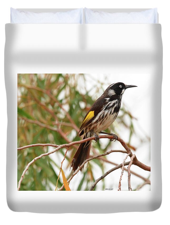 Honey-eater Duvet Cover featuring the photograph New Holland Honey-eater by Peter Krause