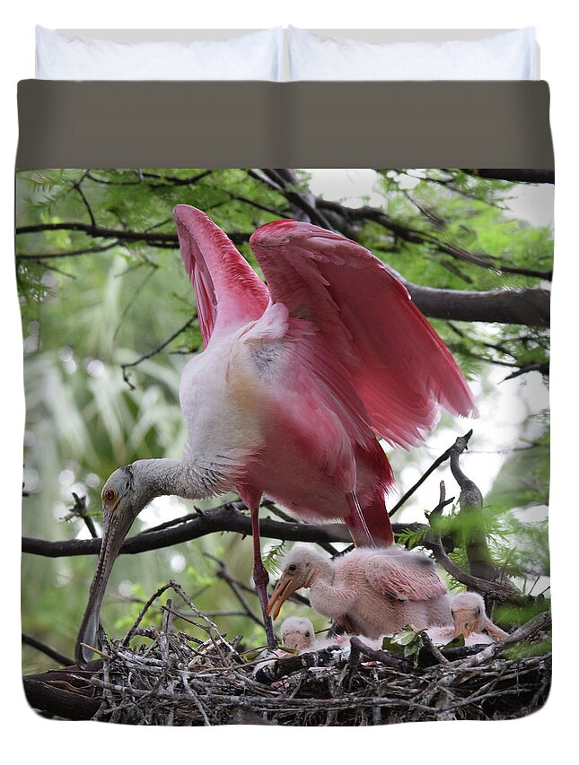 Roseate Spoonbill Duvet Cover featuring the photograph New Life by Jim Bennight