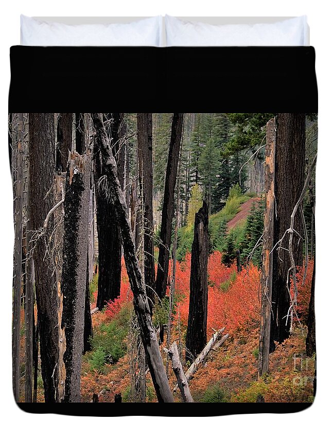 Oregon Duvet Cover featuring the photograph New Life by Merle Grenz
