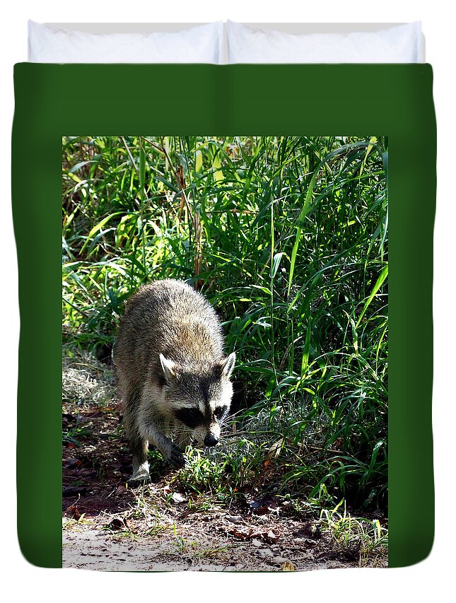 Raccoon Duvet Cover featuring the photograph New Years Day Raccoon 000 by Christopher Mercer