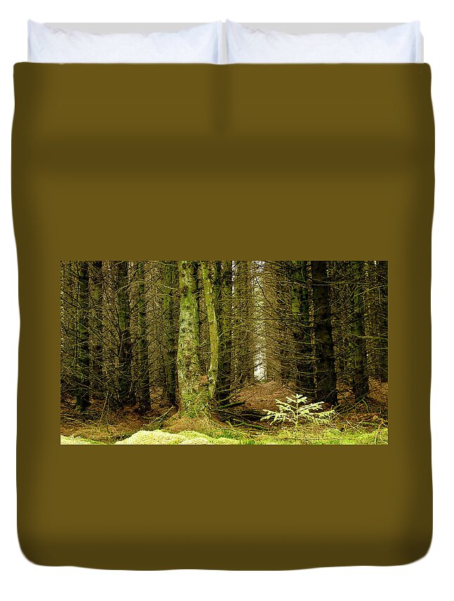 Fur Tree Duvet Cover featuring the photograph Newcomer by Elena Perelman