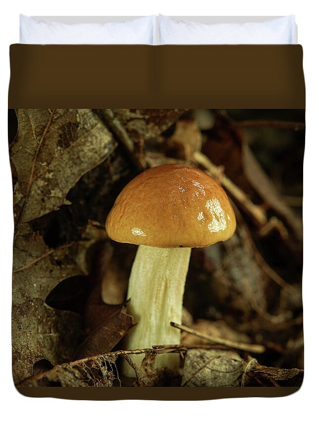 Nice Duvet Cover featuring the photograph Nice Tan Shiny Mushroom by Douglas Barnett