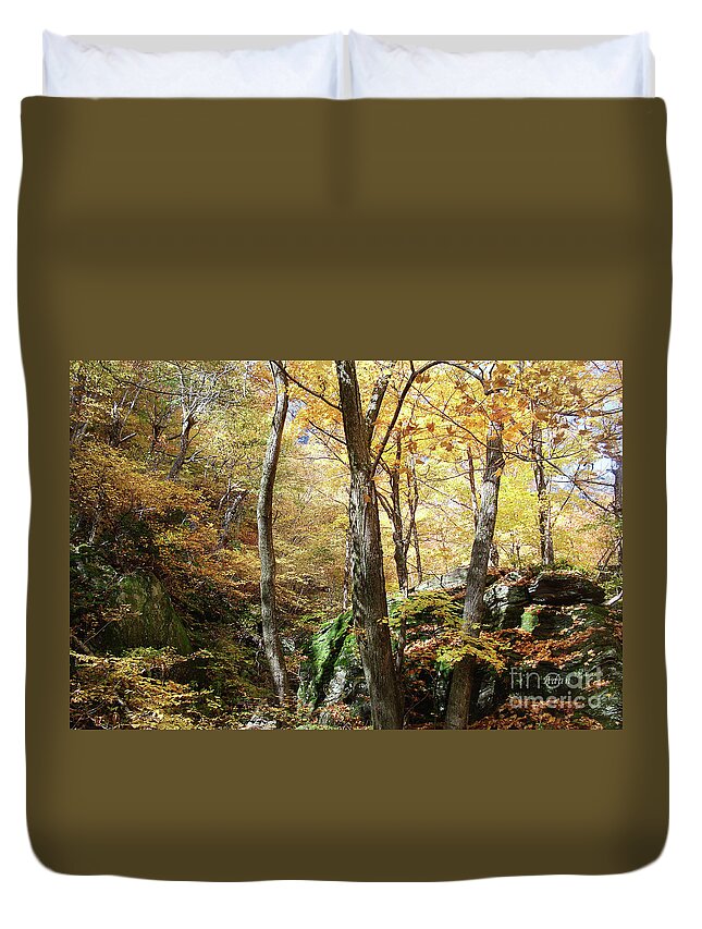 Fall Colors Duvet Cover featuring the photograph Niche in Smuggler's Notch by Felipe Adan Lerma