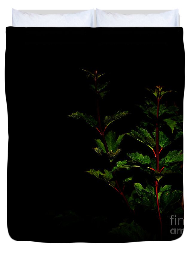 Plant Duvet Cover featuring the photograph Night Garden by Linda Shafer