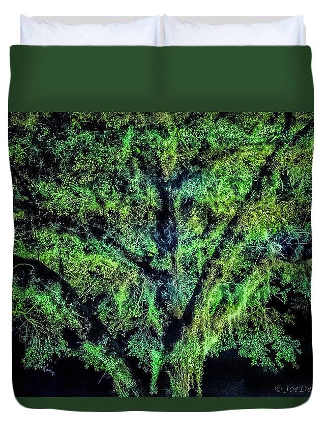 Tree Duvet Cover featuring the photograph Night Moss by Joseph Desiderio