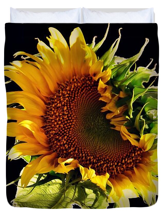 Helianthus Annuus Duvet Cover featuring the photograph Night Shift by Angela J Wright