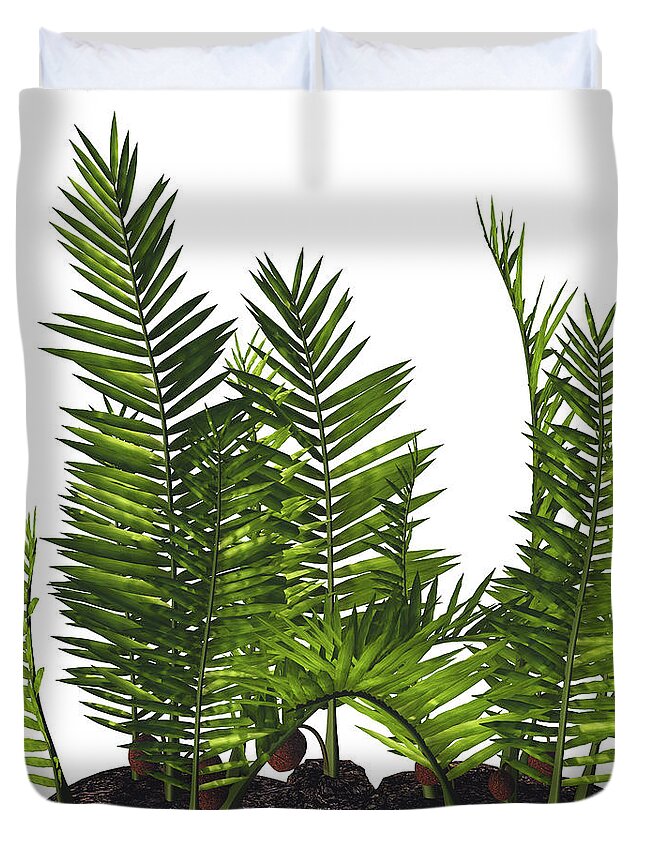 3d Illustration Duvet Cover featuring the digital art Nipa burtinii Plants by Corey Ford