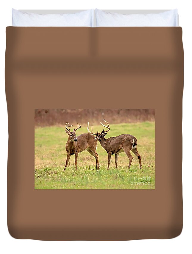 Bucks Duvet Cover featuring the photograph Nipping Around by Geraldine DeBoer