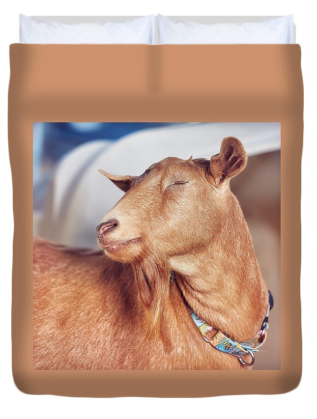 Goat Duvet Cover featuring the photograph No Autographs and No Pictures Please by TC Morgan