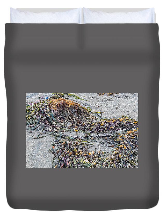 Cayucos Duvet Cover featuring the photograph Cayucos State Beach Flotsam Abstract by Patti Deters