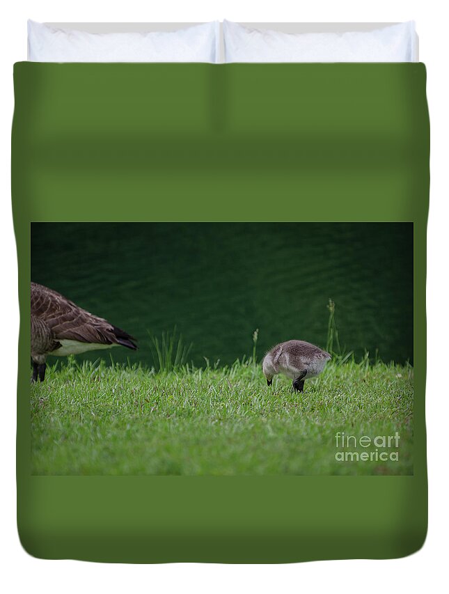 Goose Duvet Cover featuring the photograph No Matter How Far I Drift Away by Dale Powell