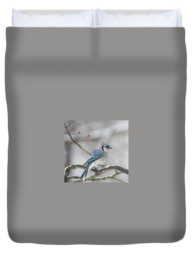  Blue Jay Duvet Cover featuring the photograph Nor' Easter Blue Jay by Diane Giurco