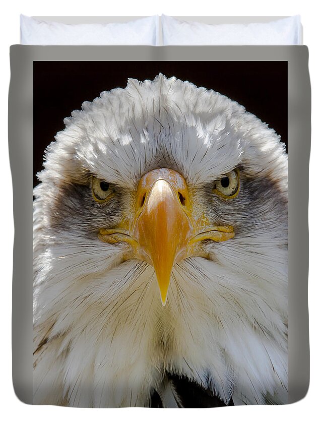 North American Bald Eagle Duvet Cover featuring the photograph North American bald eagle by Andy Myatt