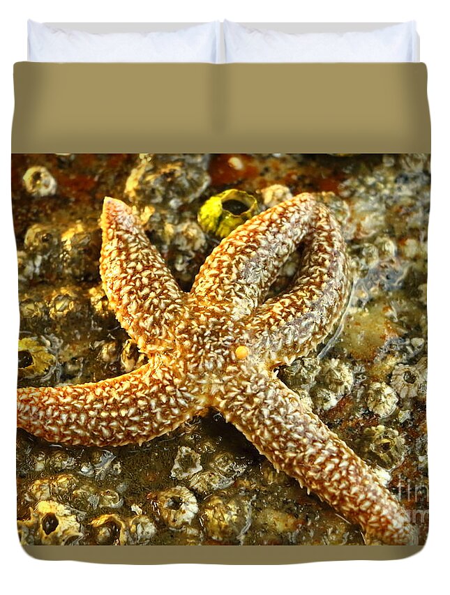 Common Starfish Duvet Cover featuring the photograph North Atlantic Sea Star by Elizabeth Dow