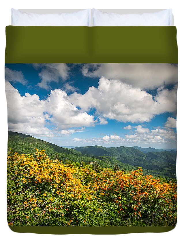North Carolina Duvet Cover featuring the photograph North Carolina Roan Mountain Flame Azalea Flowers Appalachian Trail by Dave Allen