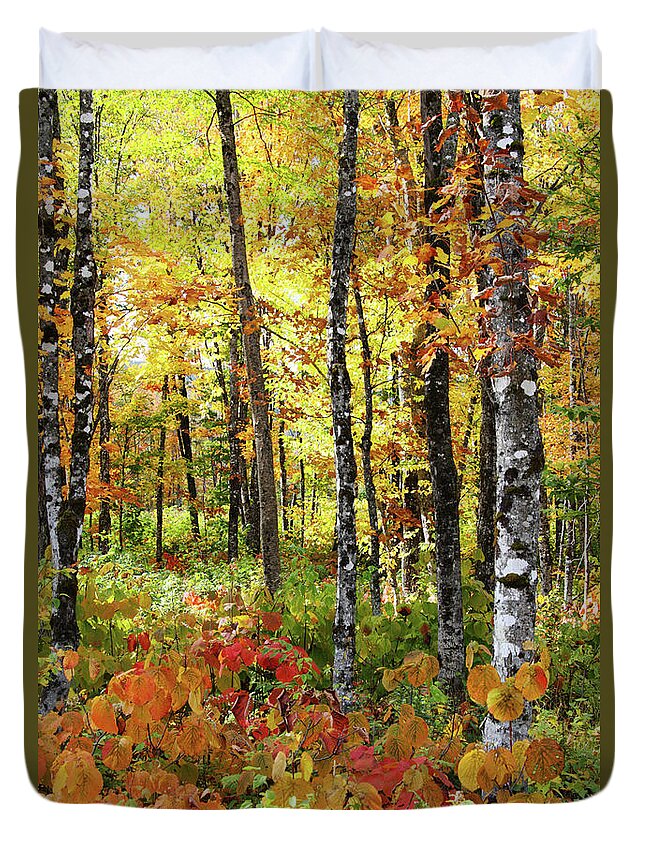 Photography Duvet Cover featuring the photograph North Woods Trees #6 by Brett Pelletier