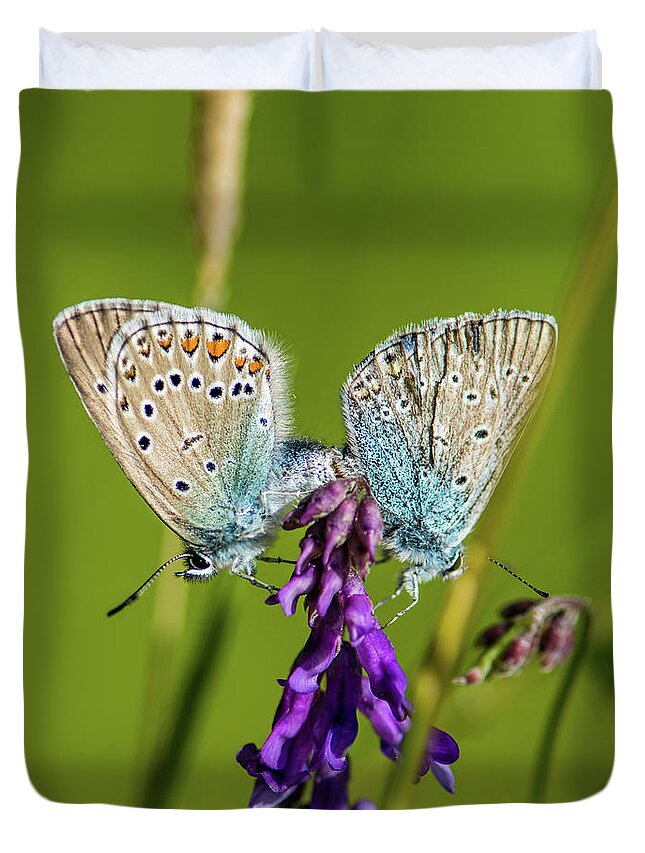 Northern Blue Duvet Cover featuring the photograph Northern Blue's mating by Torbjorn Swenelius
