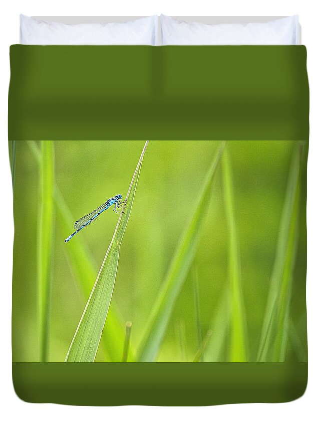 Damselfly Duvet Cover featuring the photograph Northern Bluet damselfly - Madison - Wisconsin by Steven Ralser