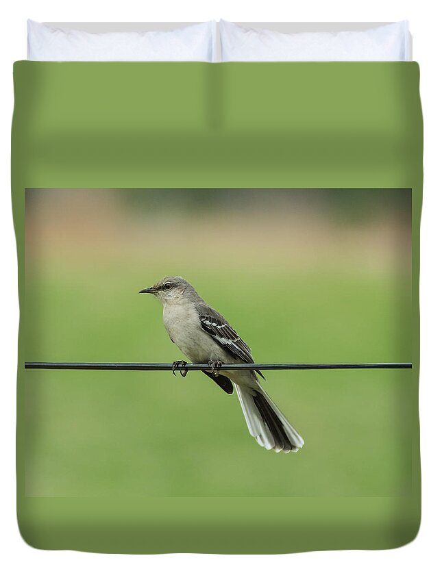 Bird Duvet Cover featuring the photograph Northern Mockingbird by Holden The Moment