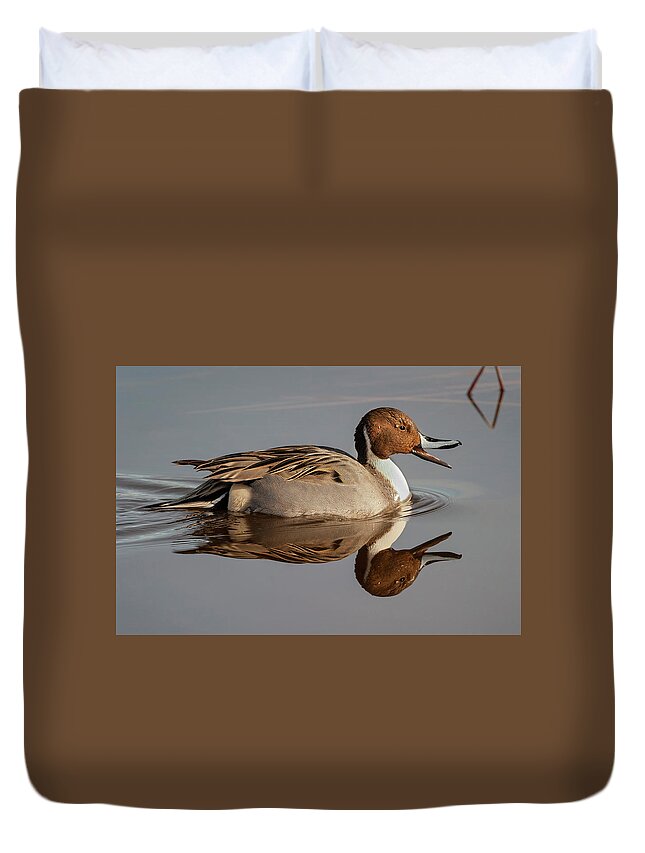 Mark Miller Photos Duvet Cover featuring the photograph Northern Pintail Reflection by Mark Miller
