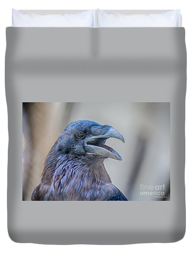 Animalia Duvet Cover featuring the photograph Northern raven by Jivko Nakev