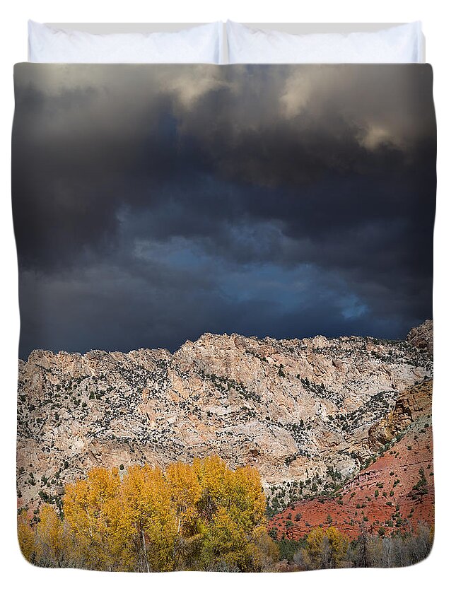 Ashley National Forest Duvet Cover featuring the photograph Northern Uintas Autumn by Kathleen Bishop