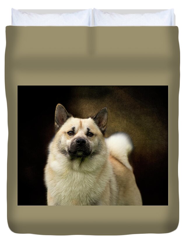 Buhund Duvet Cover featuring the photograph Norwegian Buhund by Diana Andersen
